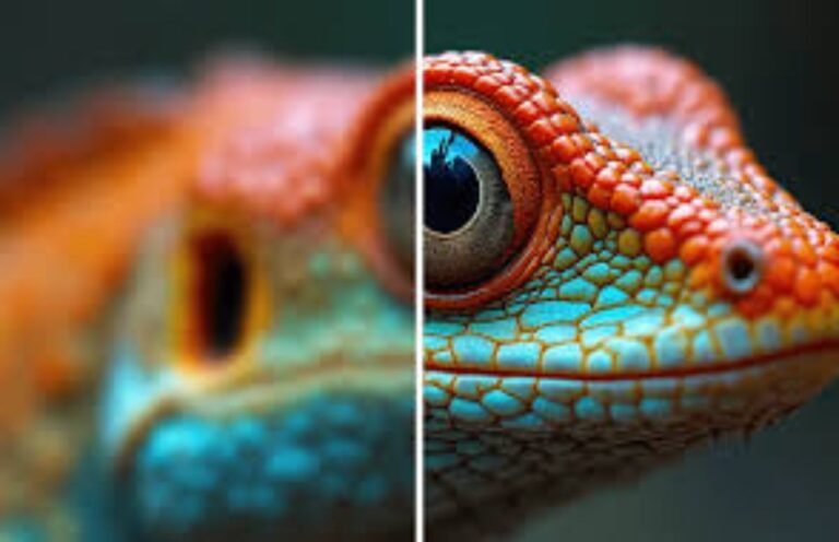 Enchance your old image into 1080p quality