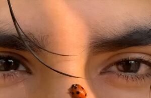 Weird Bug Effect AI Video Editing